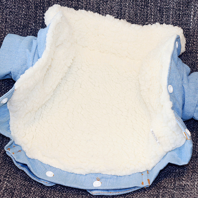 Thick Warm Dog Cotton Jacket, Denim Pet Clothes