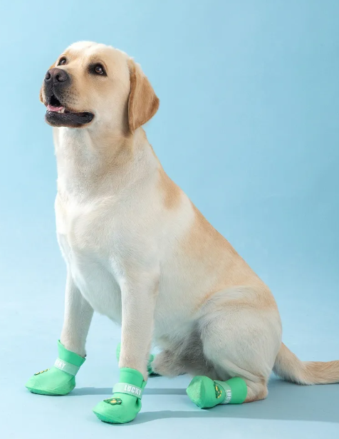 Durable Dog Footwear
